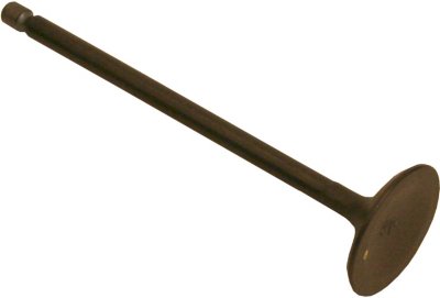 Beck Arnley Intake Valve