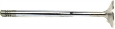Beck Arnley Intake Valve