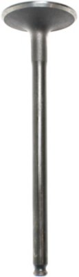 Beck Arnley Intake Valve