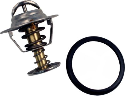 Beck Arnley Thermostat