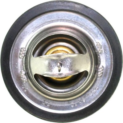 Beck Arnley Thermostat