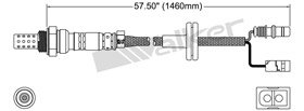 Walker Products Oxygen Sensor