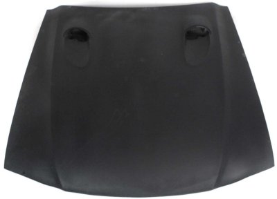 Replacement Hood