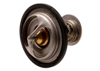 AC Delco Thermostat