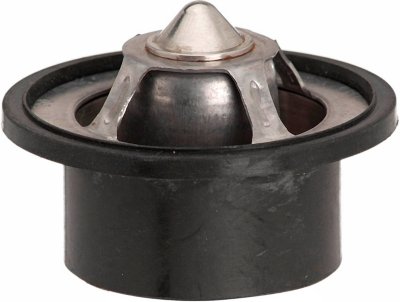 AC Delco Thermostat