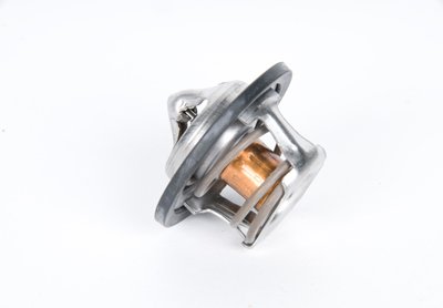 AC Delco Thermostat