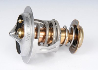 AC Delco Thermostat