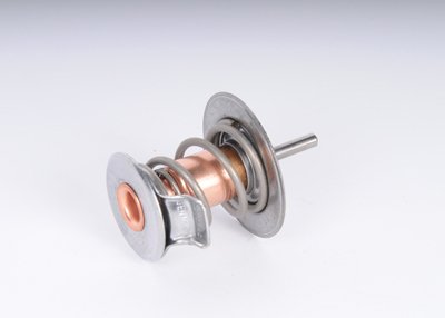 AC Delco Thermostat