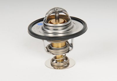 AC Delco Thermostat