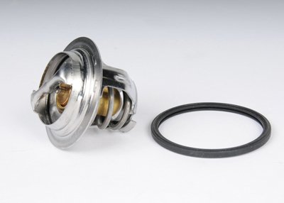 AC Delco Thermostat