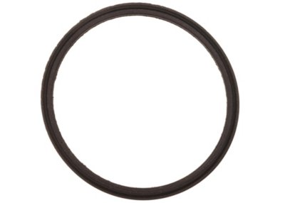 AC Delco Thermostat O-Ring