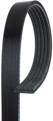 AC Delco Drive Belt