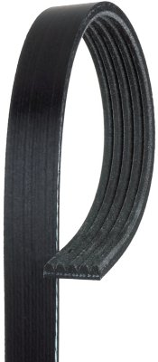 AC Delco Drive Belt