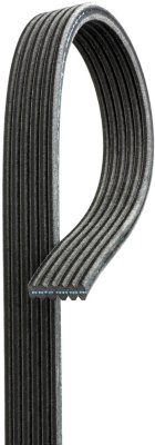 AC Delco Drive Belt