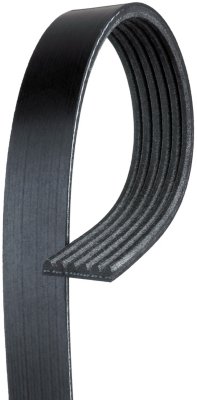 AC Delco Drive Belt