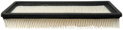 AC Delco Air Filter