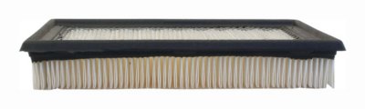 AC Delco Air Filter