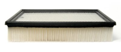 AC Delco Air Filter