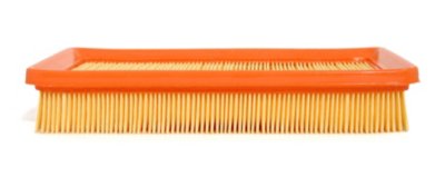 AC Delco Air Filter