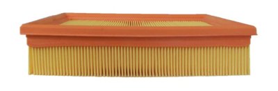 AC Delco Air Filter