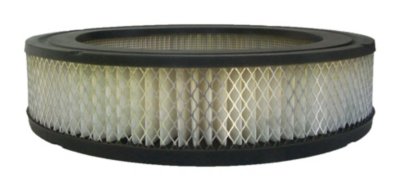 AC Delco Air Filter