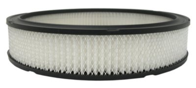 AC Delco Air Filter