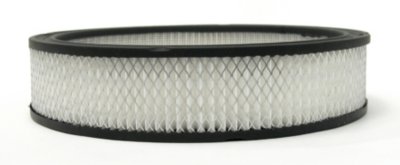 AC Delco Air Filter