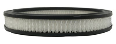 AC Delco Air Filter