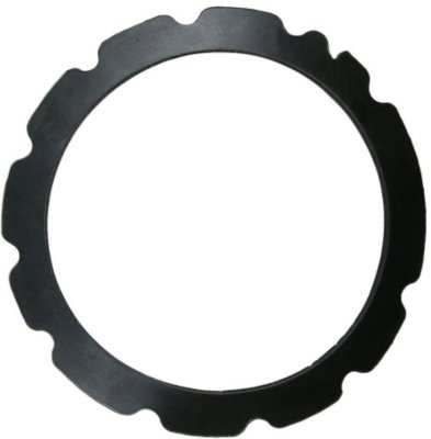 Airtex Fuel Pump Seal
