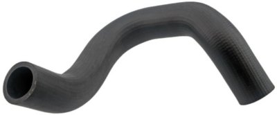 Auto 7 Radiator Hose