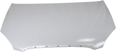 Replacement Hood