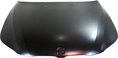 Replacement Hood