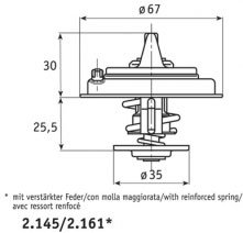 Behr Thermostat