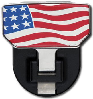 Carr Hitch Step