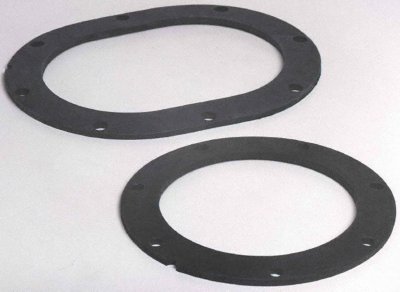 Carter Fuel Pump Seal