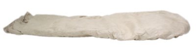 Covercraft Car Cover
