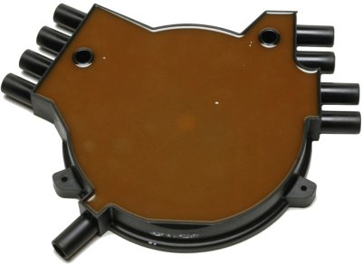 Delphi Cap and Rotor