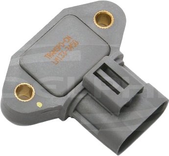 Delphi Ignition Module