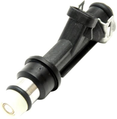 Delphi Fuel Injector