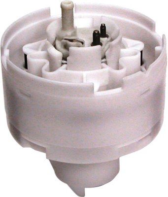 Delphi Fuel Pump