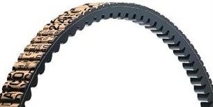 Dayco Drive Belt