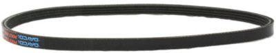 Dayco Drive Belt