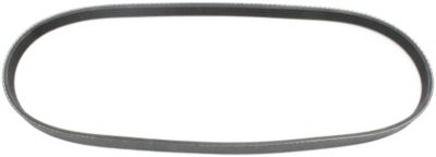 Dayco Drive Belt