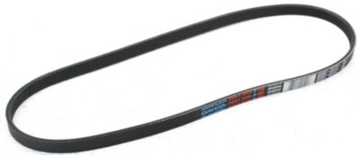 Dayco Drive Belt
