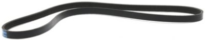Dayco Drive Belt