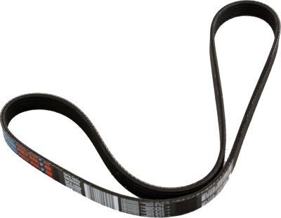 Dayco Drive Belt