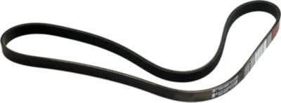 Dayco Drive Belt