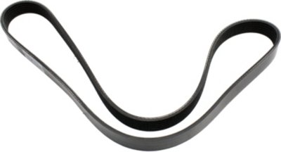 Dayco Drive Belt
