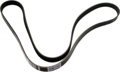 Dayco Drive Belt