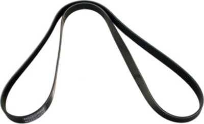 Dayco Drive Belt